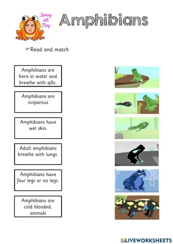 Amphibians