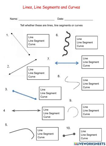 Lines, Line Segments & Curves