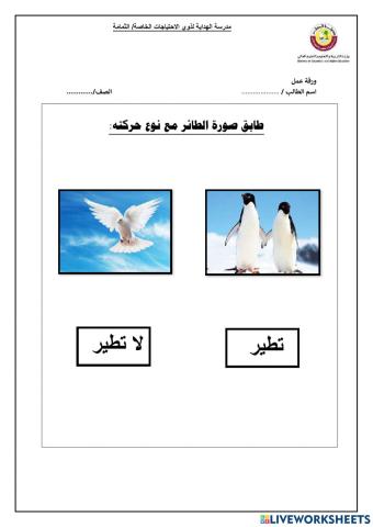 ورقة عمل الطيور