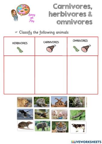 Carnivores, herbivores, omnivores