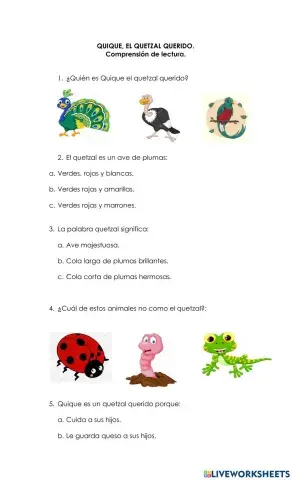 Quique, el quetzal querido