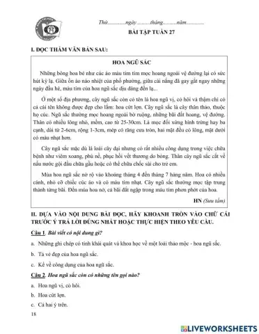 Tiếng Việt cuối tuần 27