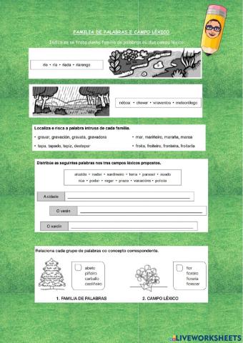 Familia de palabras e campo léxico