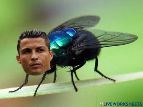 El bicho siiiiuuuuuuuuuuuuuu