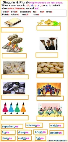 Singular& Plural - Adding Es