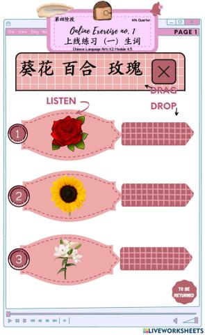 第四阶段《第五课花》生词练习（一）
