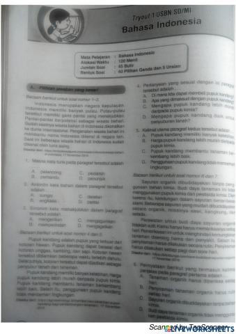 Bahasa Ind soal USBN