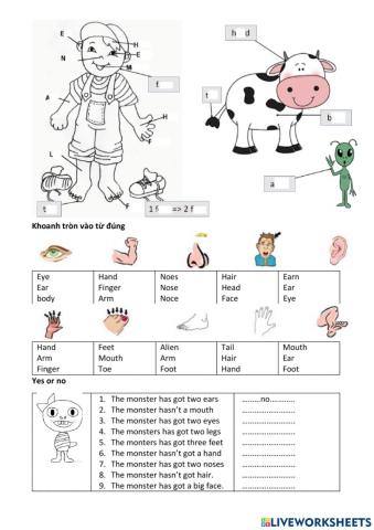 Starters unit 6 - body