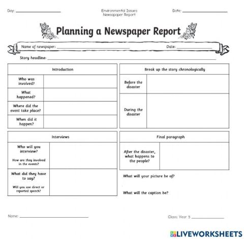 Newspaper Report Plan