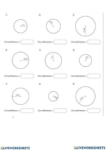 Circumference - radius