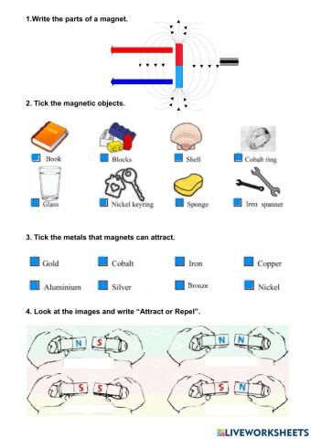 1946618 Magnets fsala224 LiveWorksheets