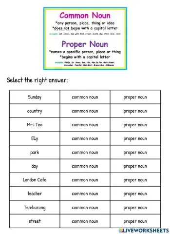 Common and Proper Noun