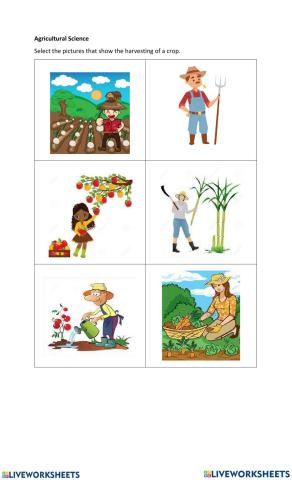 Harvesting Crops