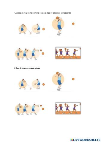 Tipos de pases antonio neira