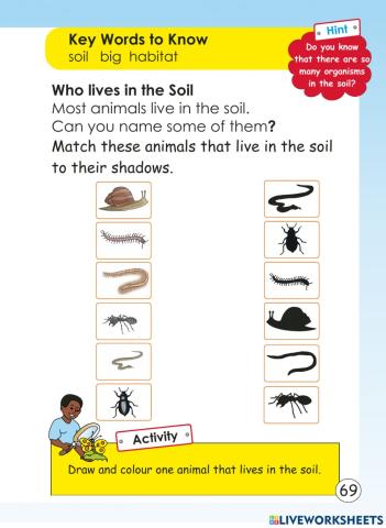 Soil