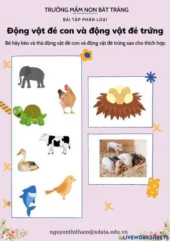 Bài tập phân loại