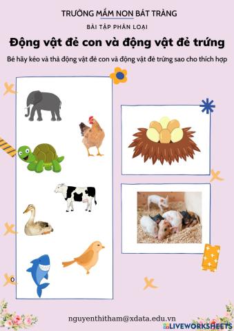 Bài tập phân loại