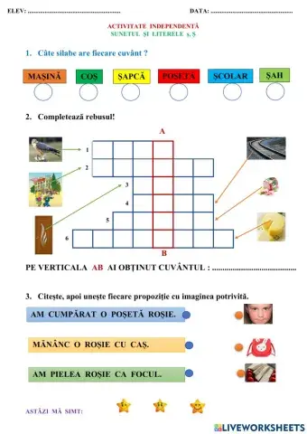 SUNETUL ȘI LITERELE ș, Ș