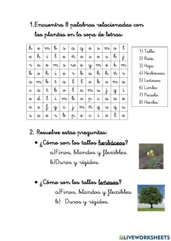 Palabras sobre plantas y tipos de tallo