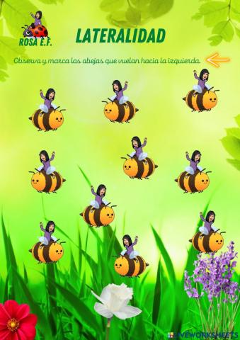 Lateralidad izquierda