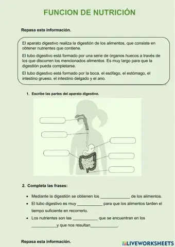 Función de nutrición