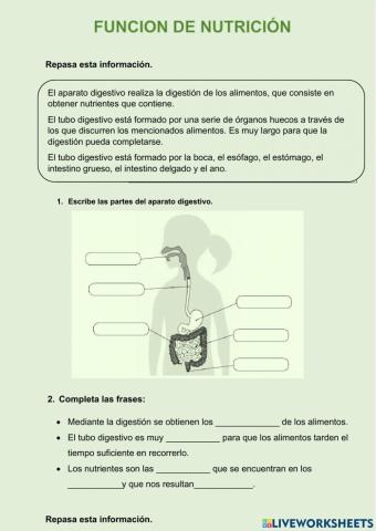 Función de nutrición