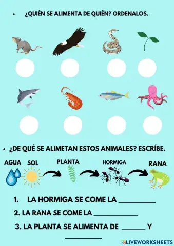 Ejercicios Cadena Alimenticia