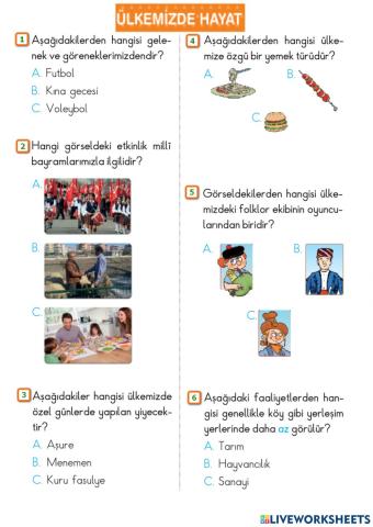 Ülkemizde Hayat-Konu Değerlendirme-4