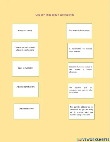 EL CUERPO HUMANO Y SUS FUNCIONES 