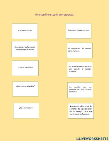 EL CUERPO HUMANO Y SUS FUNCIONES 