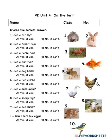 Unit4 Can it lay eggs?