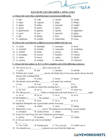 E6- on giua ky 2 use of language ilsw