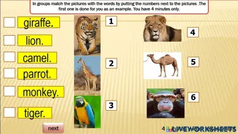 Grade 3 unit 6 lesson 5