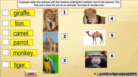 Grade 3 unit 6 lesson 5