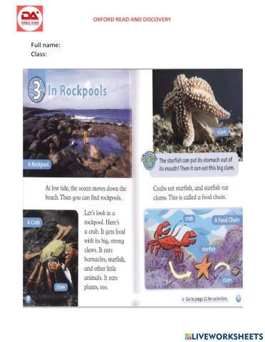 DieuAnh In Rockpools (at the beach)