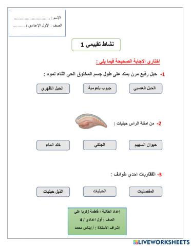 انواع الحيوانات