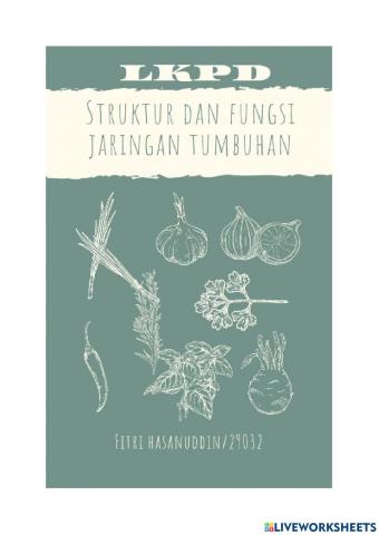 Struktur dan fungsi jaringan tumbuhan