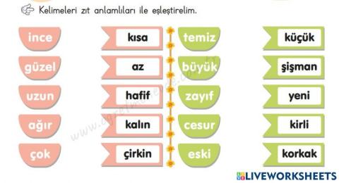 Zıt Anlamlı Kelimeleri  Eşleştirelim