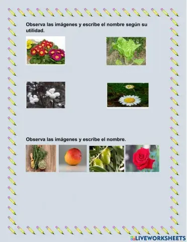 Utilidad de las plantas