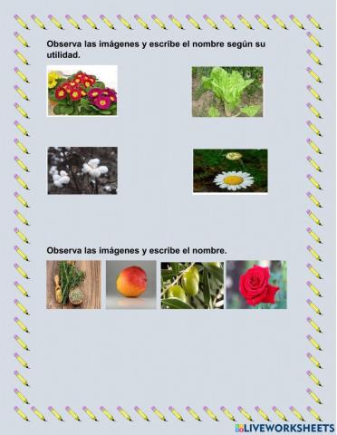 Utilidad de las plantas