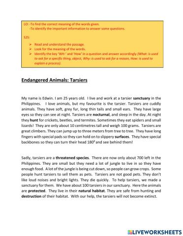 Endangered Animals-Tarsier