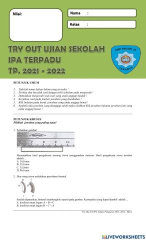 Try out us ipa