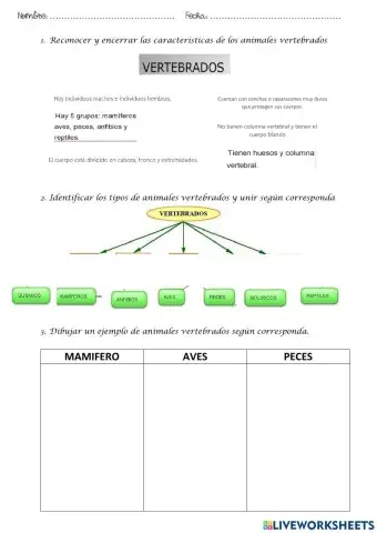 Animales vertebrados