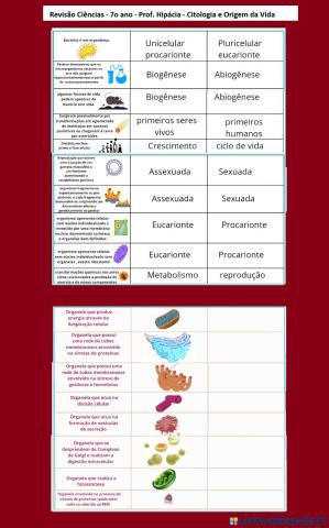 Citologia e Origem da Vida Revisão 7 ano