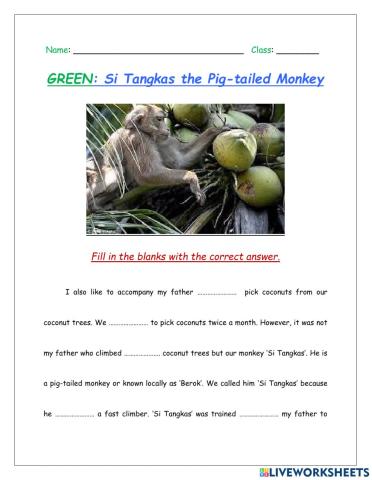 Si Tangkas the Pig-Tailed Monkey (GREEN)