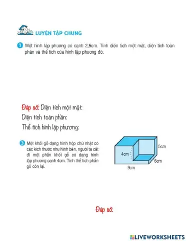 Luyện tập tính thể tích HLP