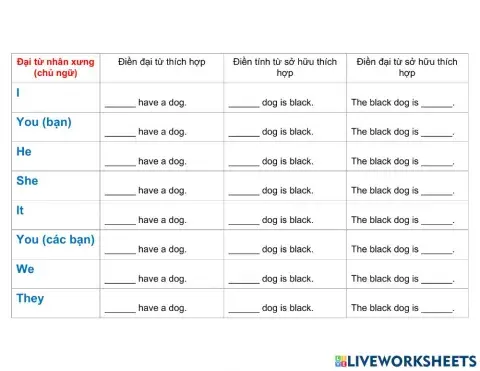 Grade 6 U9 Tính từ và Đại từ sở hữu