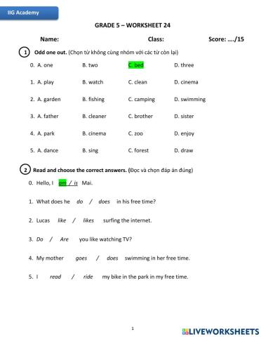 IIG-Grade 5-Worksheet 24