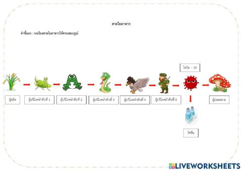 สายใยอาหาร