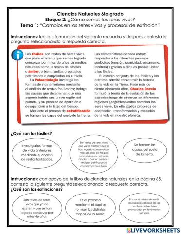 Bloque 2: ¿Cómo somos los seres vivos?